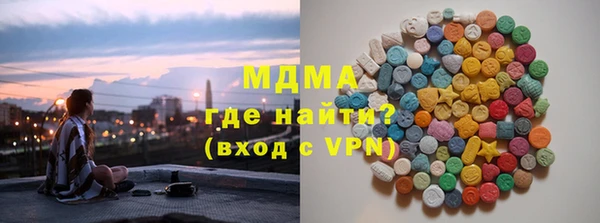 гашик Алексин