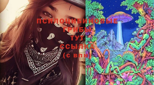 ПСИЛОЦИБИНОВЫЕ ГРИБЫ Алзамай