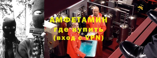 ПСИЛОЦИБИНОВЫЕ ГРИБЫ Алзамай