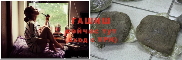 гашик Алексин