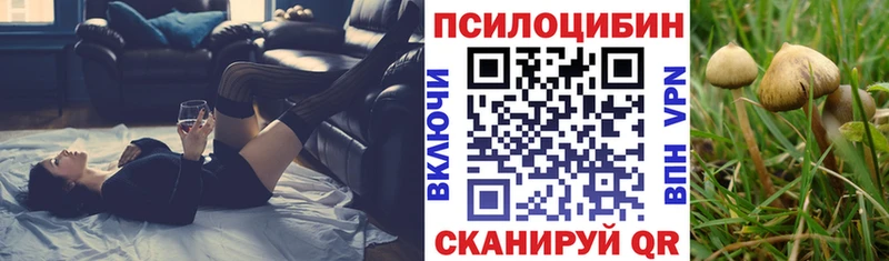 Псилоцибиновые грибы мухоморы Троицк